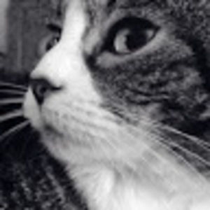 Meet your Posher, Alaina